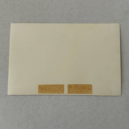 Vintage Circus Rollerskating Roller Skate Act Photo Photograph Lauren and Angelo