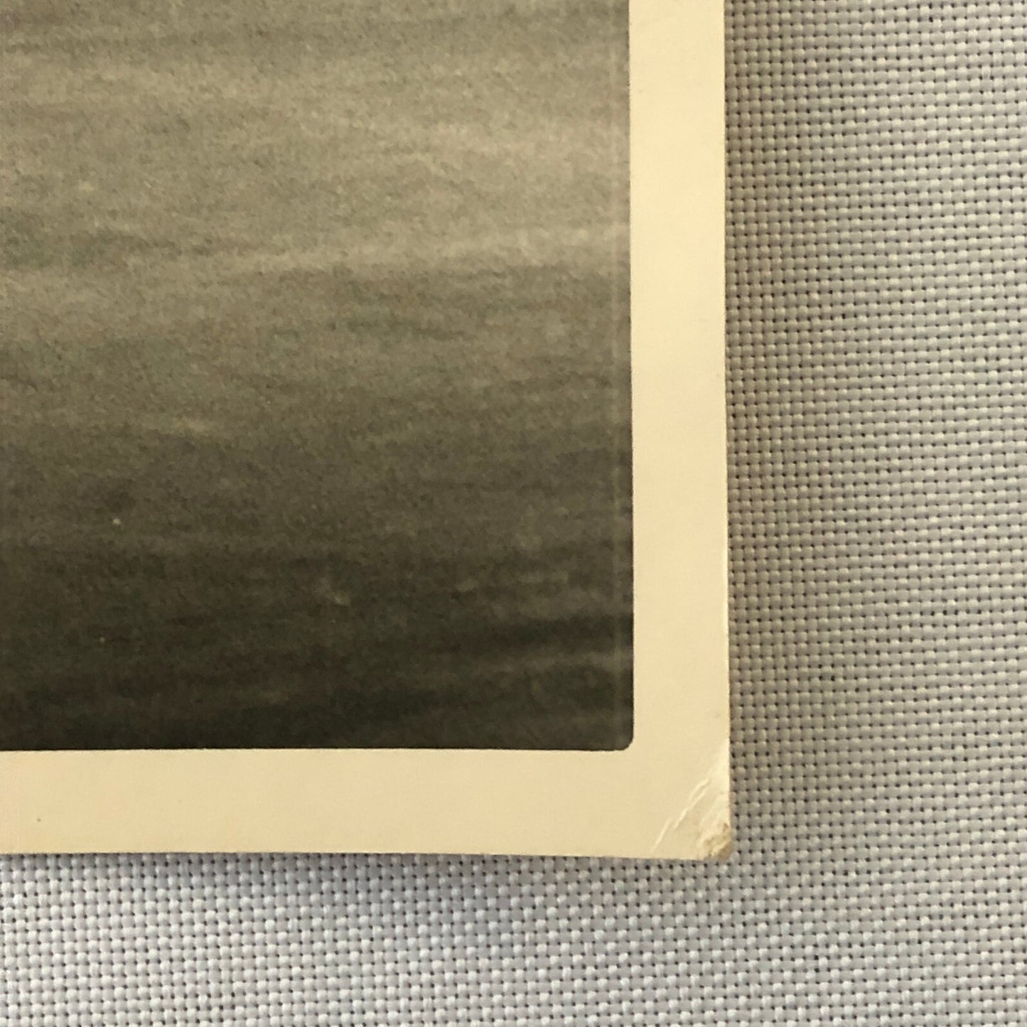 Circus Performer Bicycle Balancing Act Vintage Photo Photograph 1952