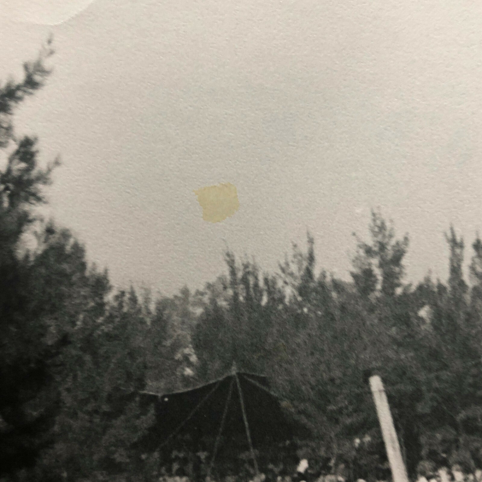 Vintage Grand Prix Racing Photo Photograph - Jo Siffert - Bernard Cahier 