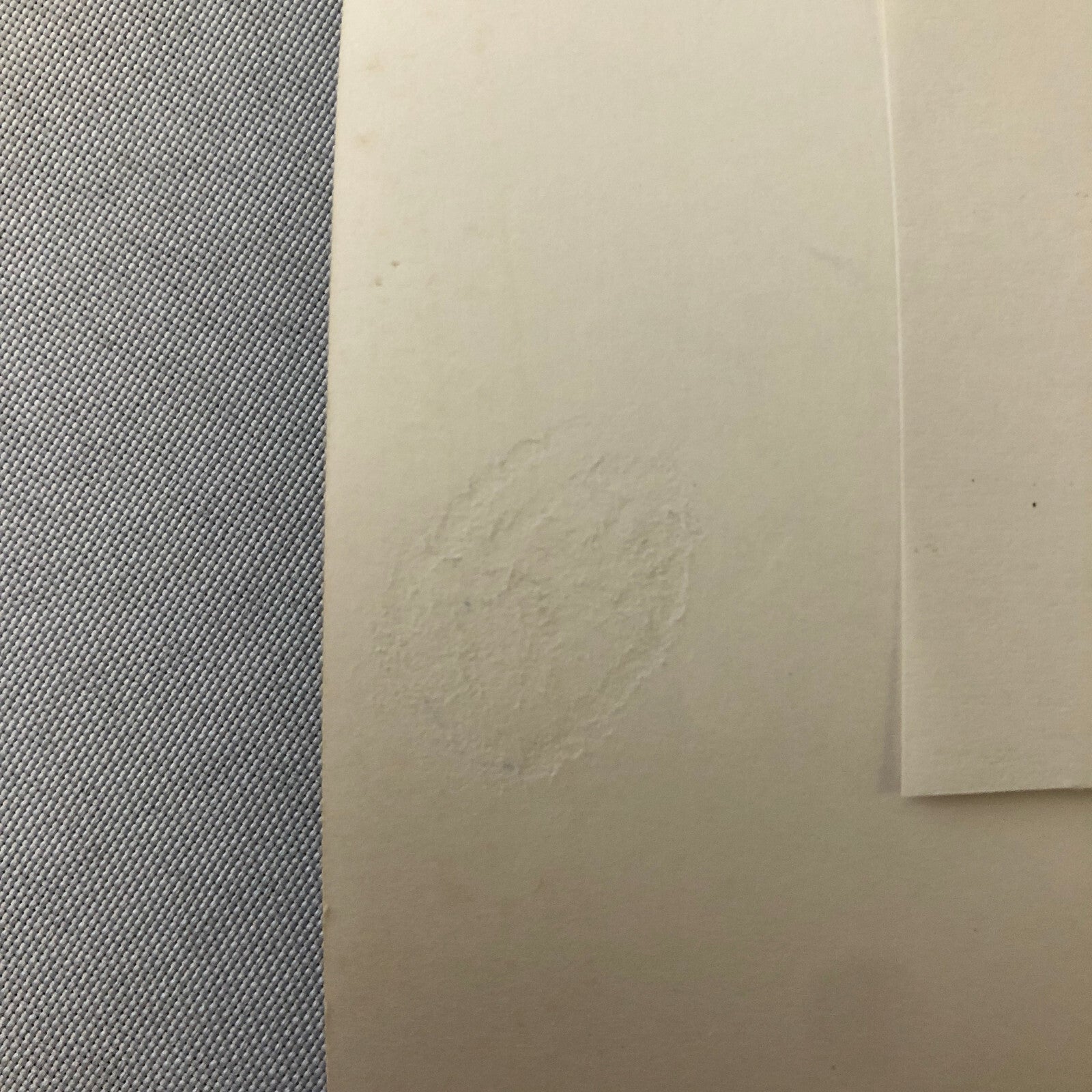 Volkswagen VW Beetle Photo Photograph Print 1982