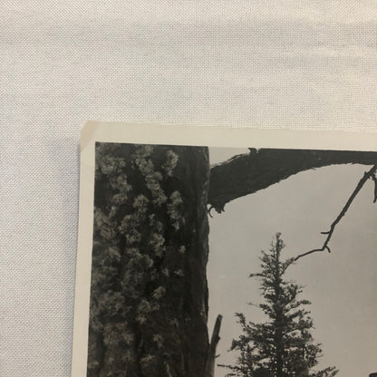 Actor Gary Cooper The Hanging Tree Movie Press Photo Photograph Warner Brothers