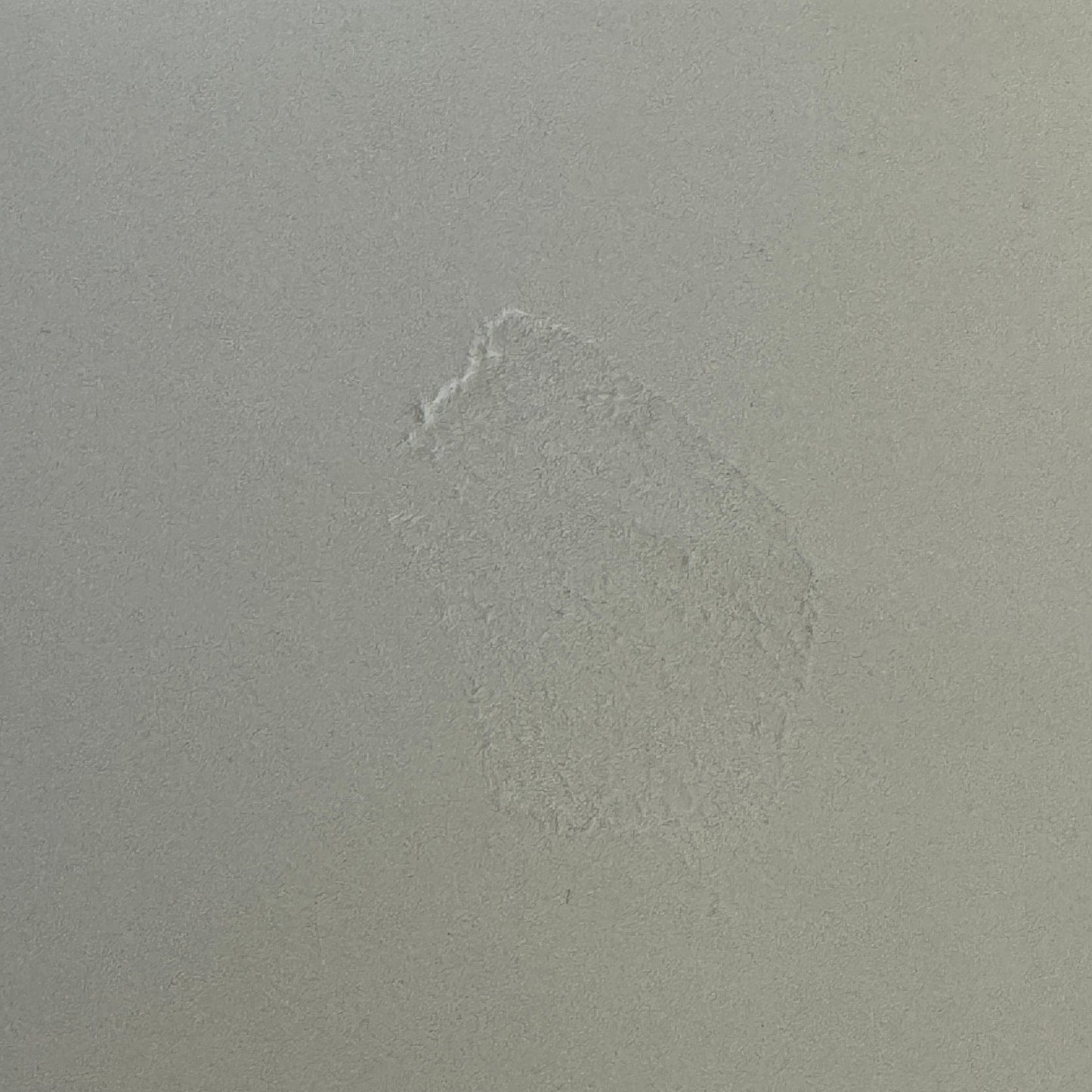 Vintage Car Racing Photo Porsche 906 Photograph