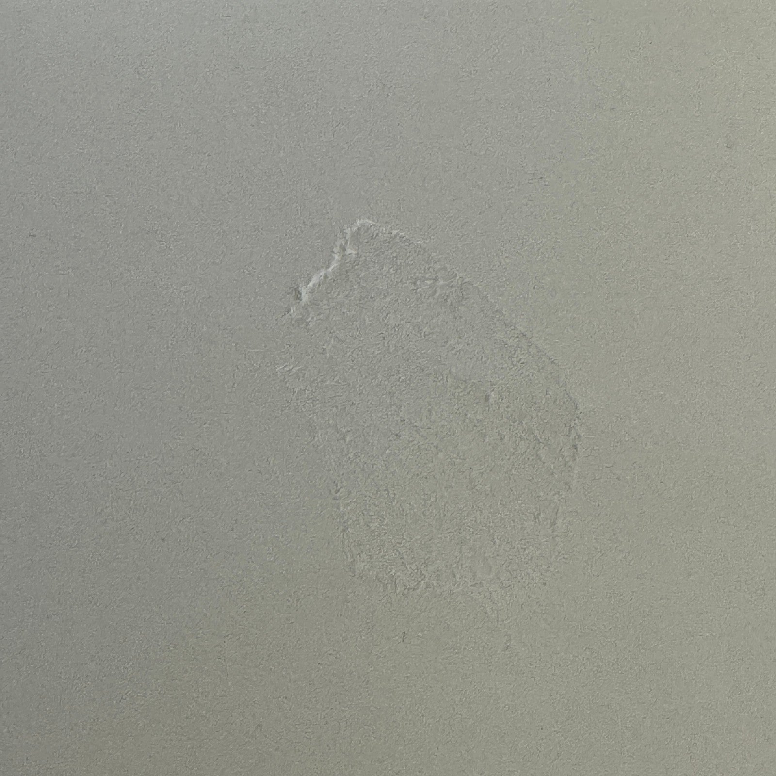 Vintage Car Racing Photo Porsche 906 Photograph