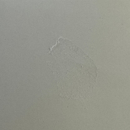 Vintage Car Racing Photo Porsche 906 Photograph