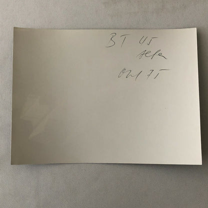 Vintage Alfa Romeo Brabham Martini Racing Car BT 45 Photo Photograph 