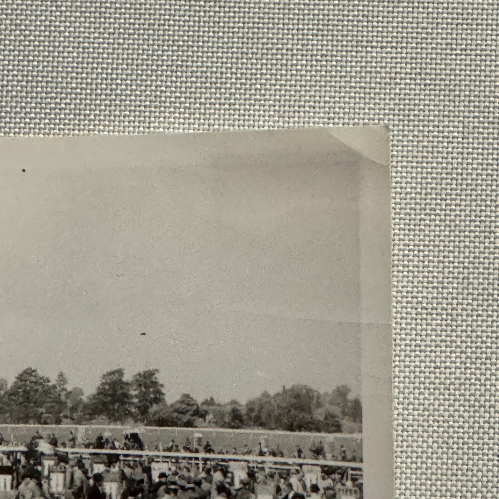Vintage Photo Photograph Crowd at Horse Racing Track