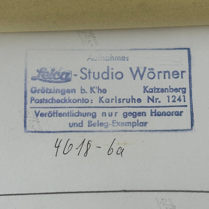 1963 Nurburgring Racing Photo Photograph Jaguar E Type Studio Worner