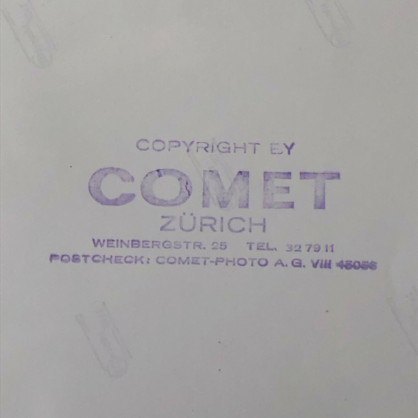 Vintage Pat Carlsson Moss Rally Racing Driver Photo Photograph with Horse 