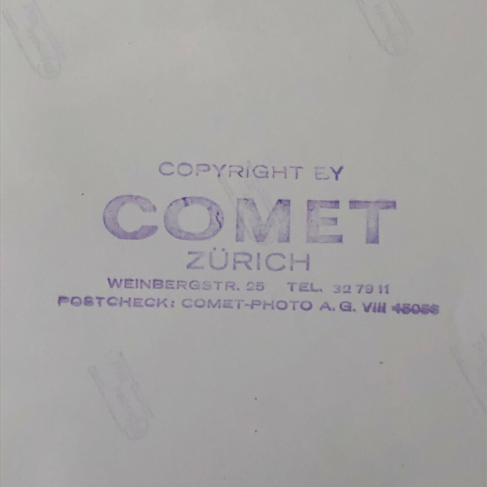 Vintage Pat Carlsson Moss Rally Racing Driver Photo Photograph with Horse 