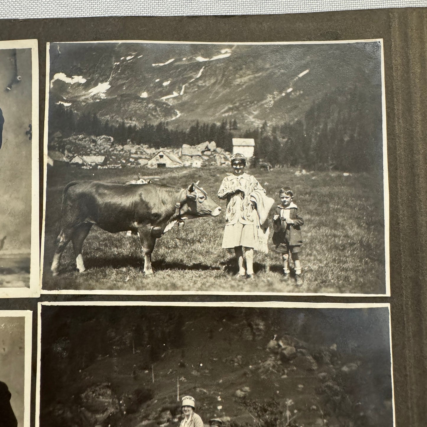 Vintage Photo Album Pages Car Automobile People Horse Cow Animals European