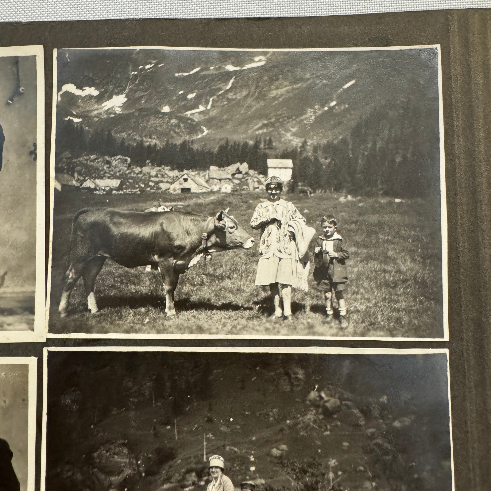 Vintage Photo Album Pages Car Automobile People Horse Cow Animals European