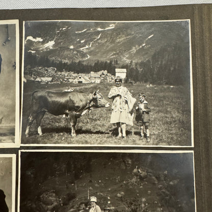 Vintage Photo Album Pages Car Automobile People Horse Cow Animals European