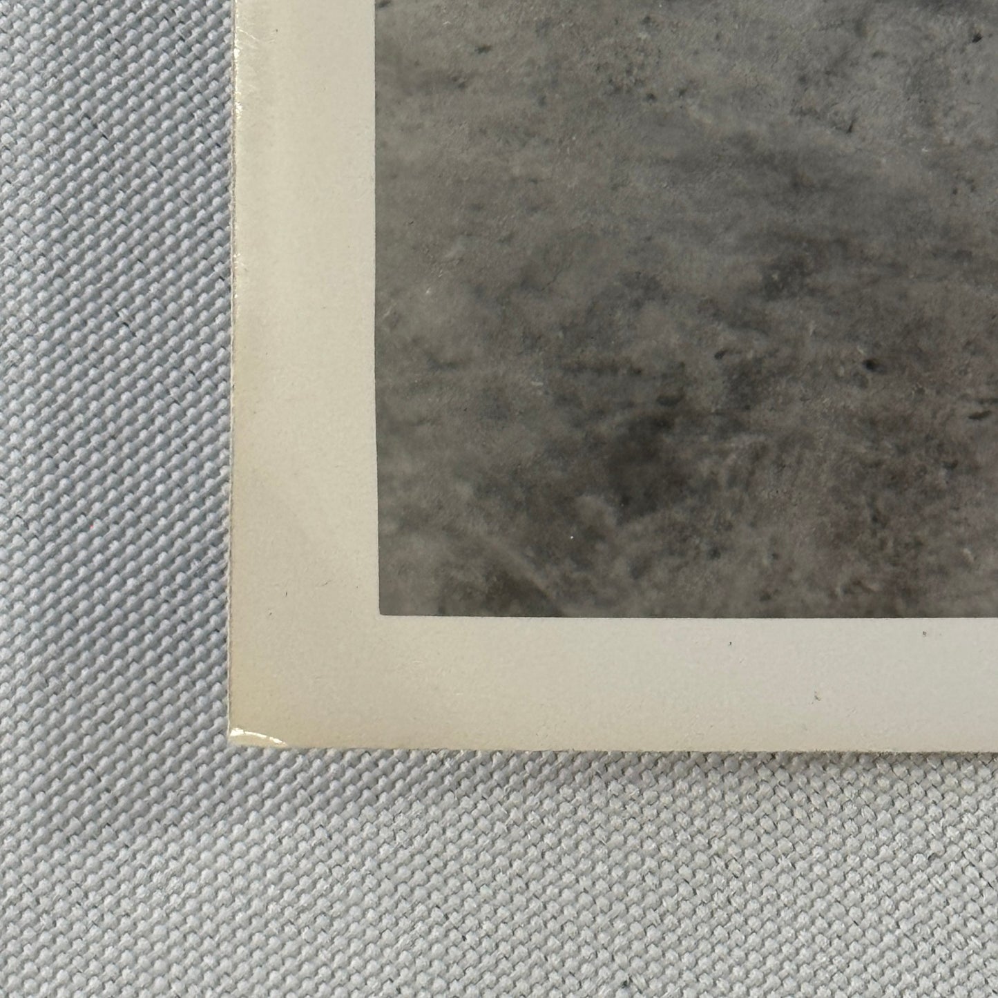 Vintage Ford Car Automobile Photo Photograph Print Snapshot 1938 Ford Deluxe