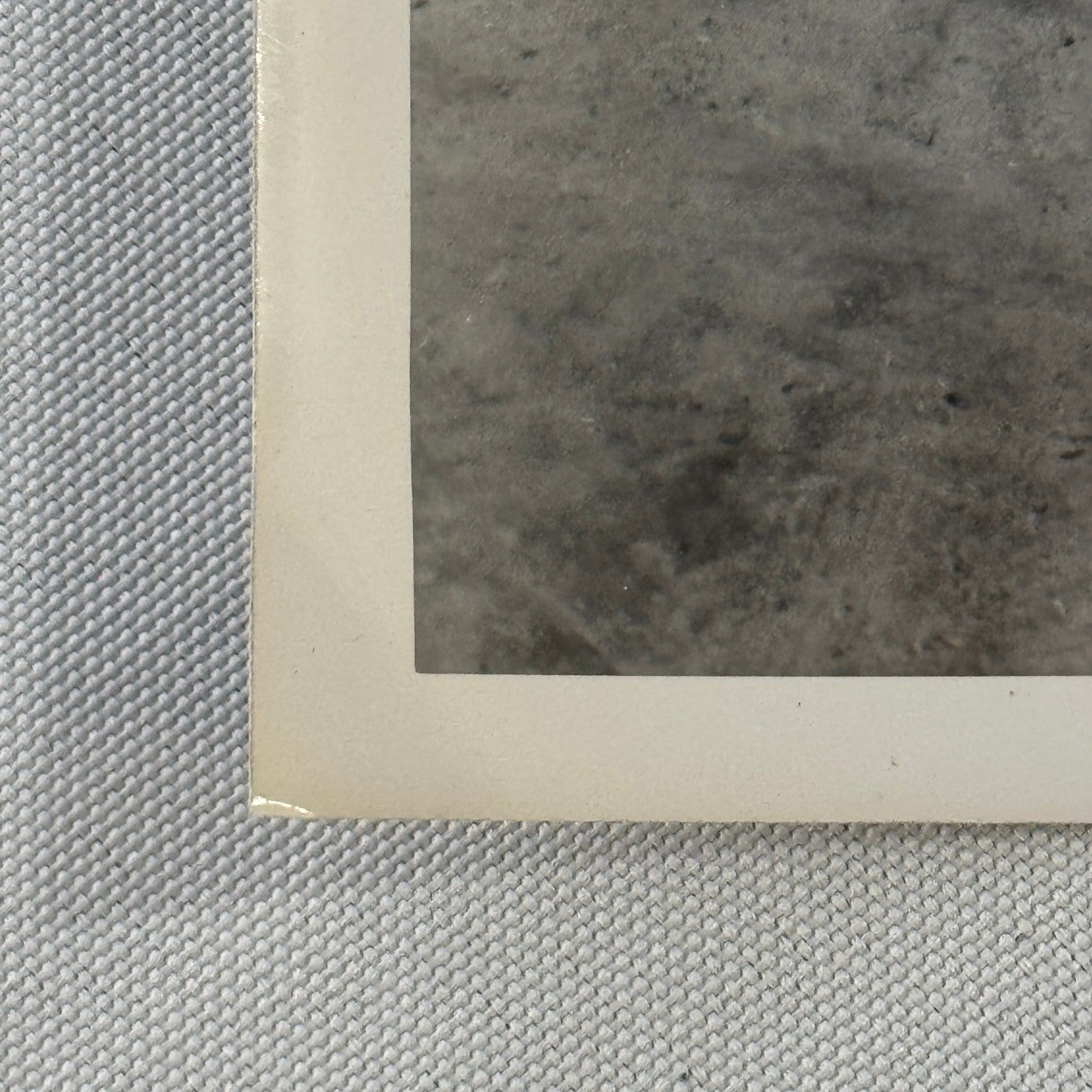 Vintage Ford Car Automobile Photo Photograph Print Snapshot 1938 Ford Deluxe