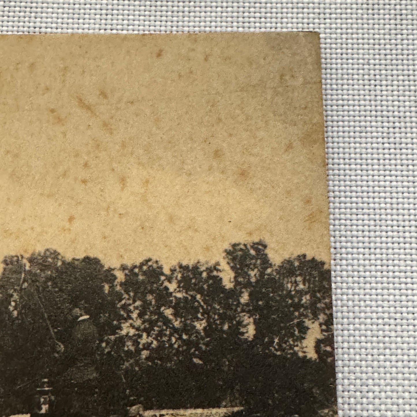 Vintage Car Automobile Postcard Post Card Italy Italian Horse Drawn Wagon