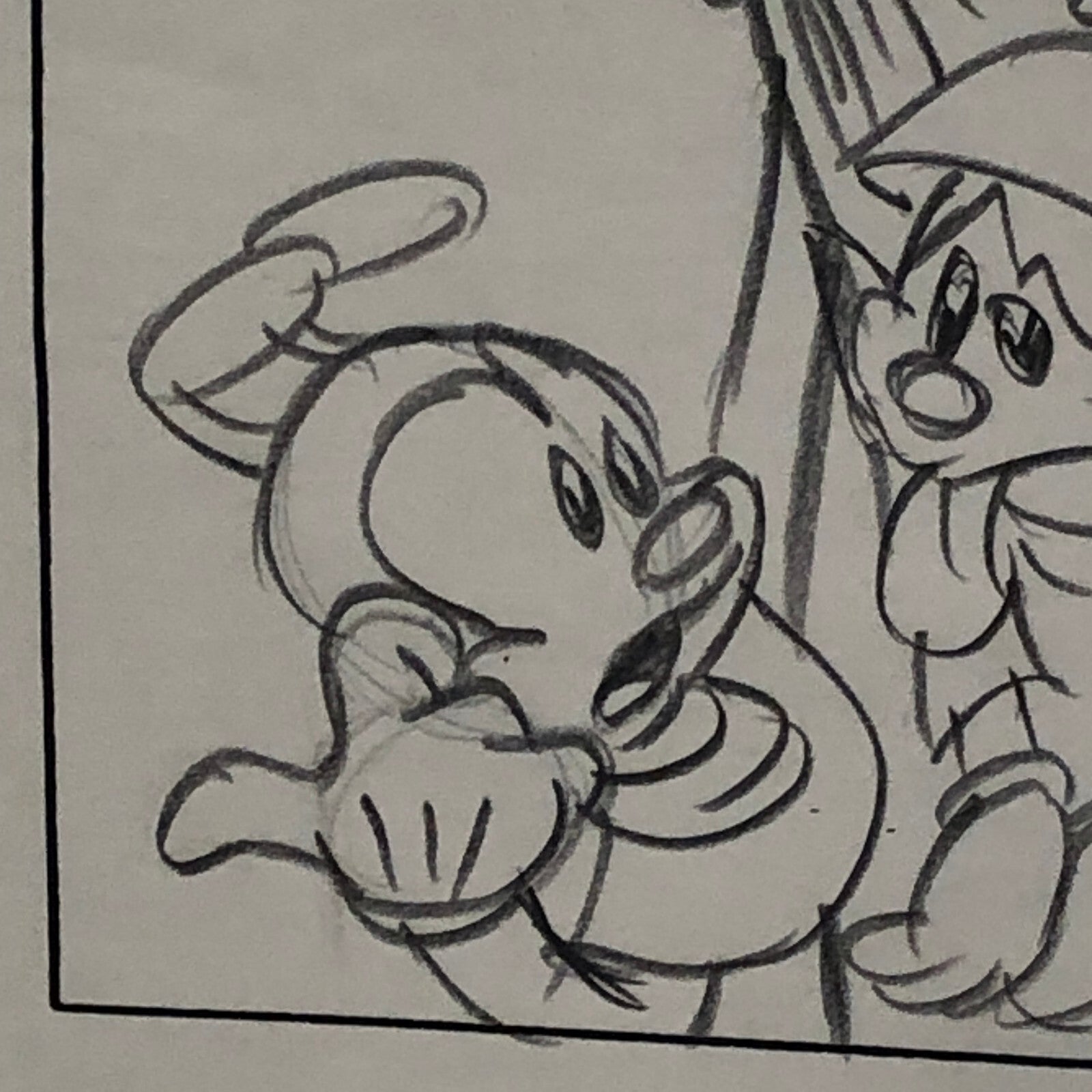 ANIMANIACS Animation Storyboard Illustration Drawing Sketch Story Board Art