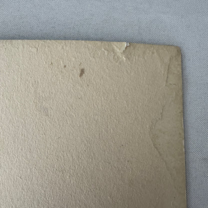 Vintage Wedding Photo Photograph Couple Wedding Dress