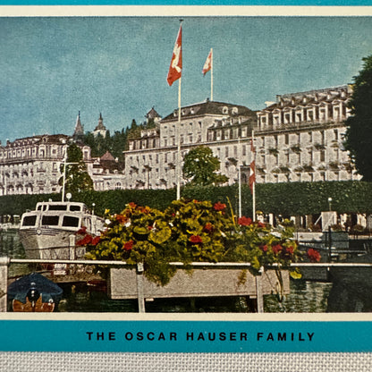 Vintage Travel Label Hotel Schweizerhof Lucerne Switzerland Swiss