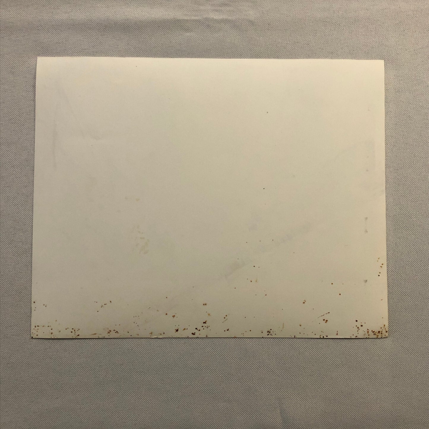 Muppet Treasure Island Movie Film Press Photo Photograph Print Kermit the Frog