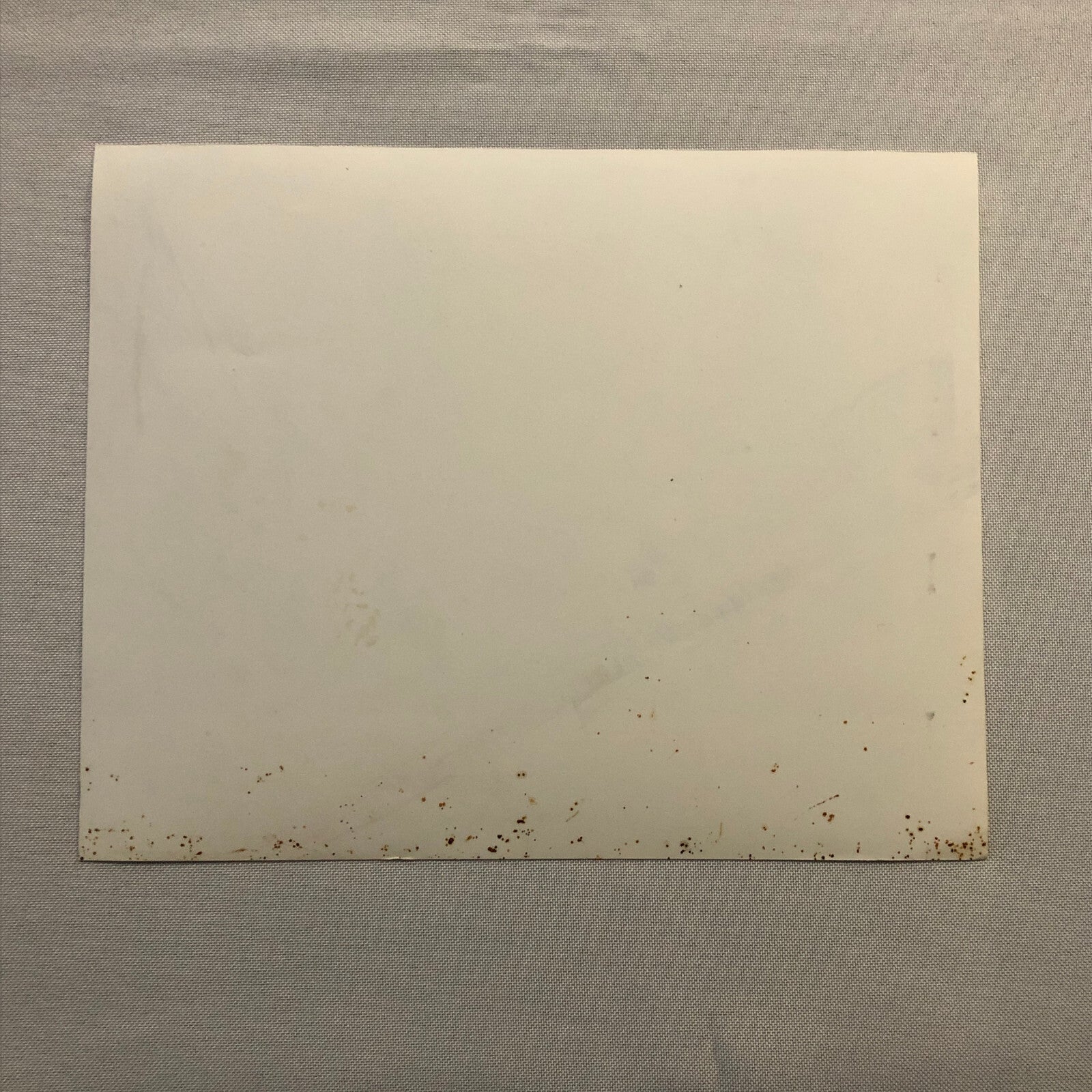 Muppet Treasure Island Movie Film Press Photo Photograph Print Kermit the Frog