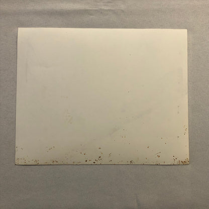 Muppet Treasure Island Movie Film Press Photo Photograph Print Kermit the Frog