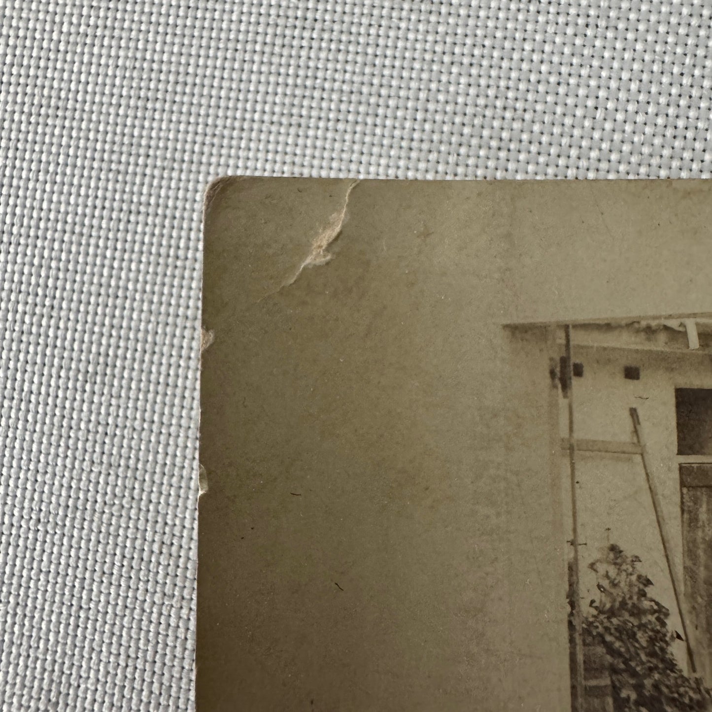 Vintage Real Photo Postcard Post Card RPPC Automobile Dog Man Woman