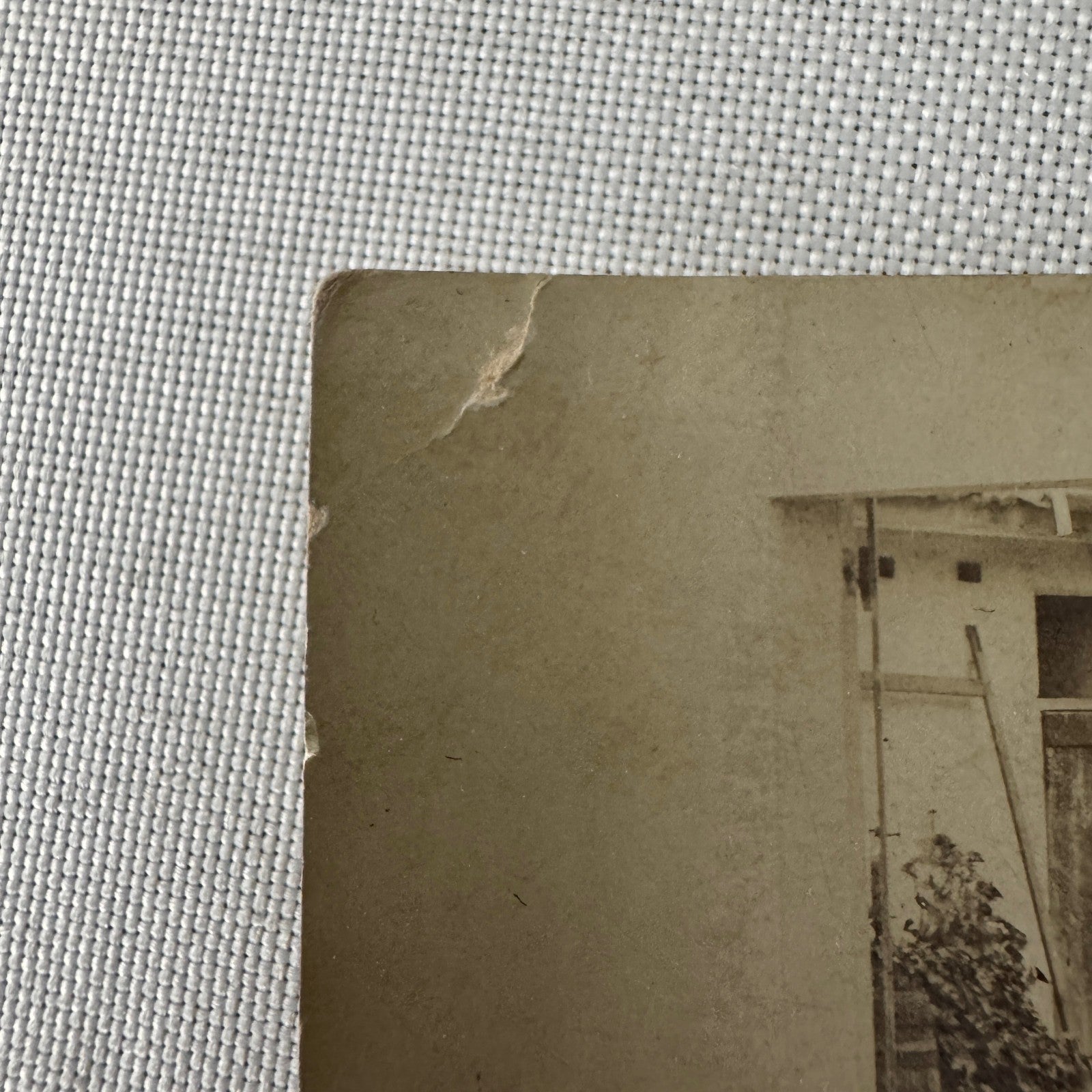 Vintage Real Photo Postcard Post Card RPPC Automobile Dog Man Woman