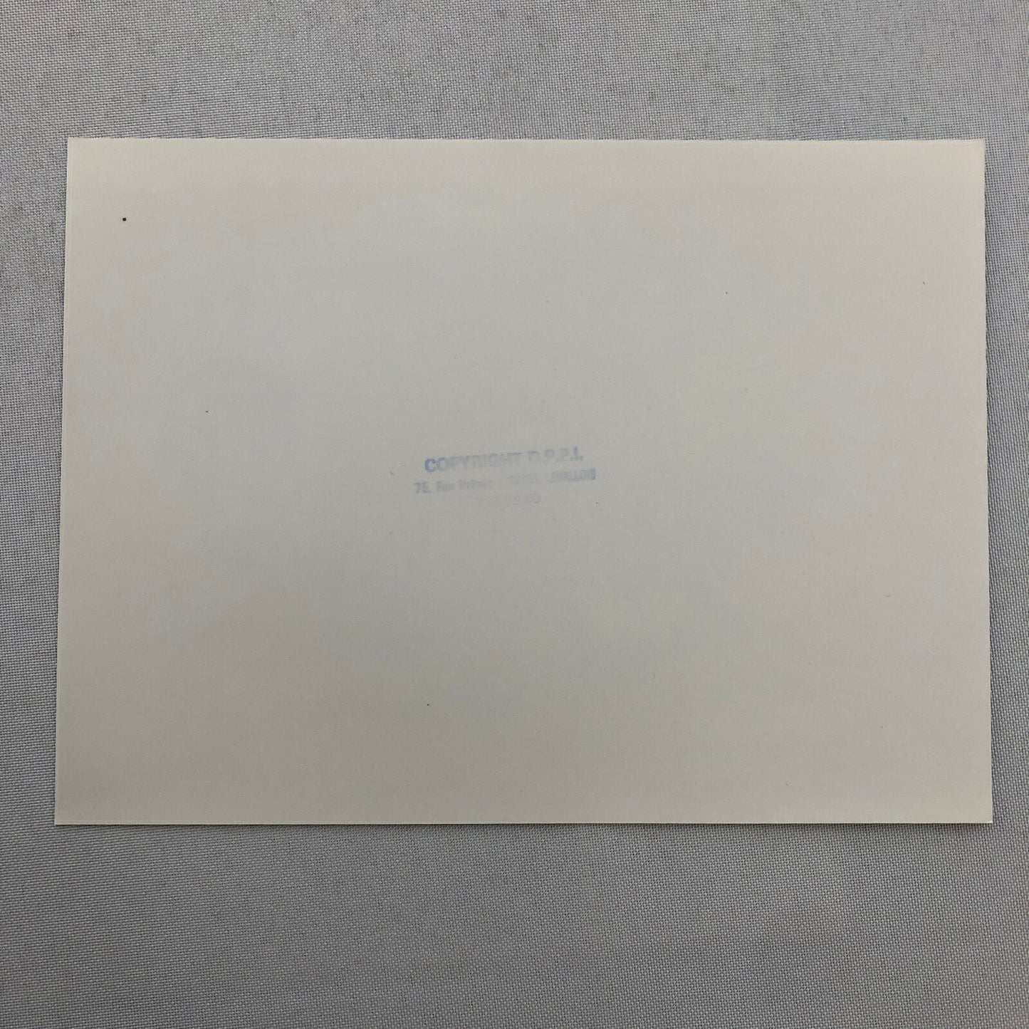 1980 Transafrica Rally Rallye Photo Photograph DPPI Motorcycle