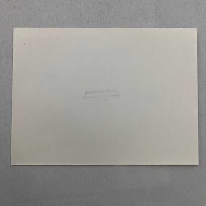 1980 Transafrica Rally Rallye Photo Photograph DPPI Motorcycle