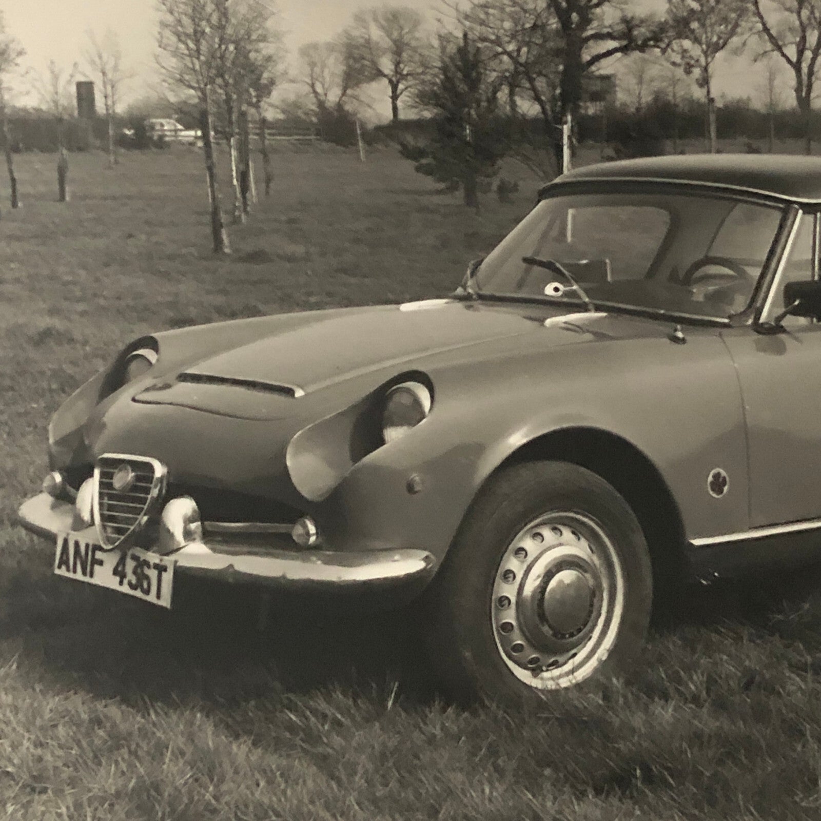 Vintage 1959 Alfa Romeo Giulia Spyder D80 Car Photo Photograph Print 