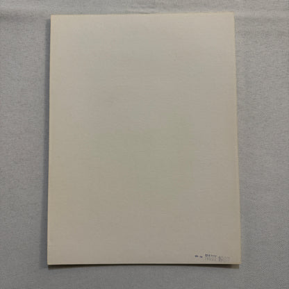 Bertone X19 Sales Sheet Brochure Mini Poster Fiat X1/9