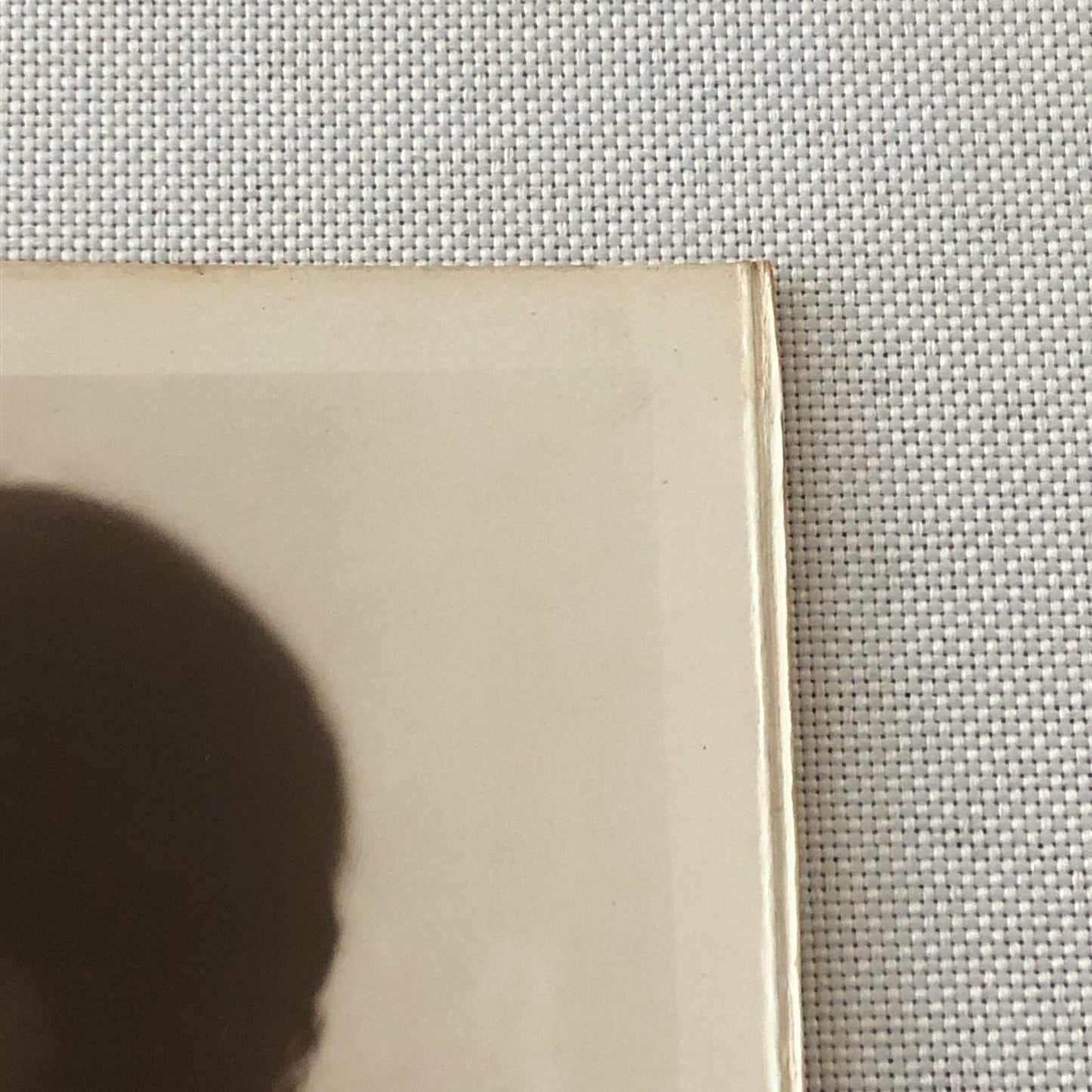 Circus Performer Photo Photograph Print Portrait Woman Vintage