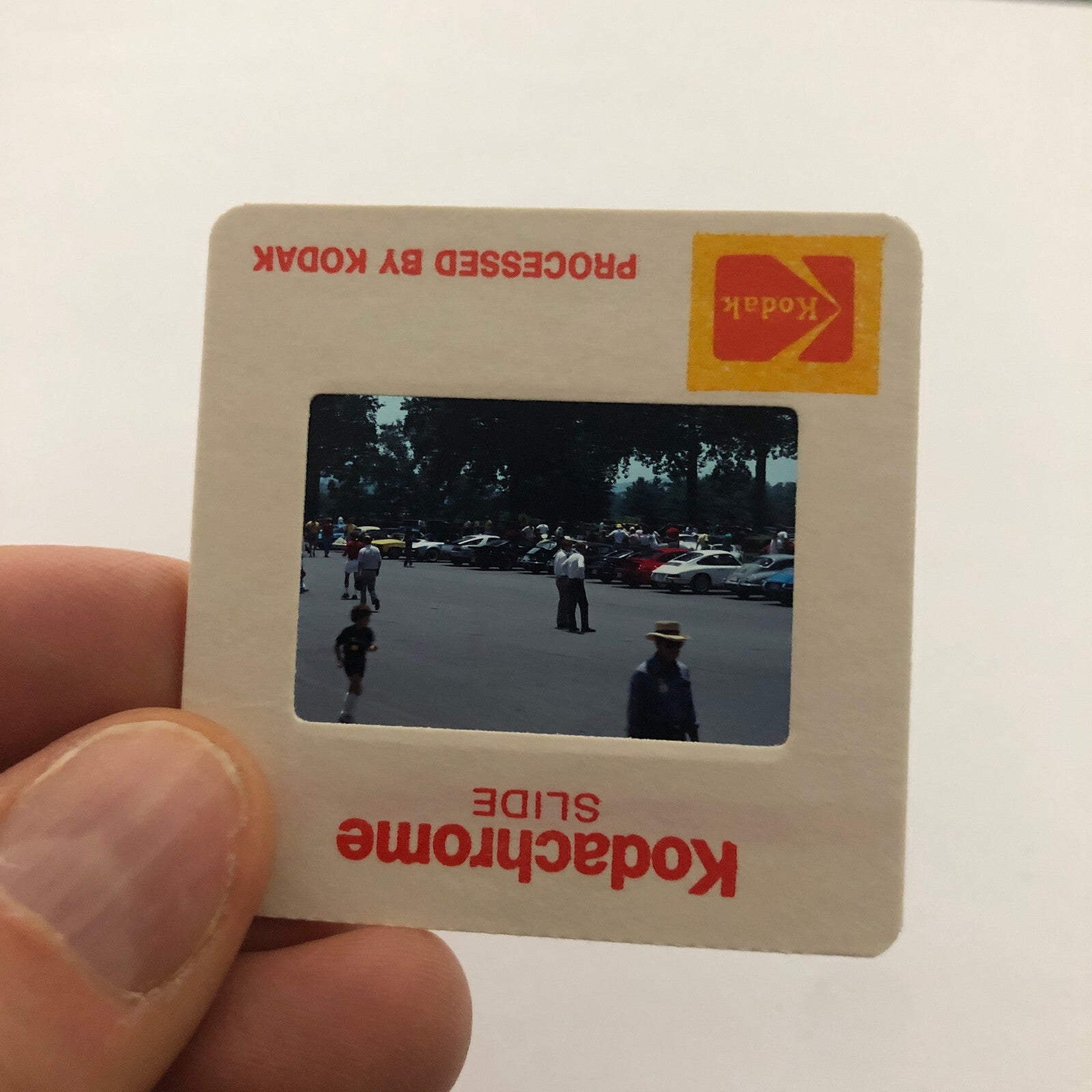 Porsche 911 Car Show 35mm Photo Slide Vintage 1981