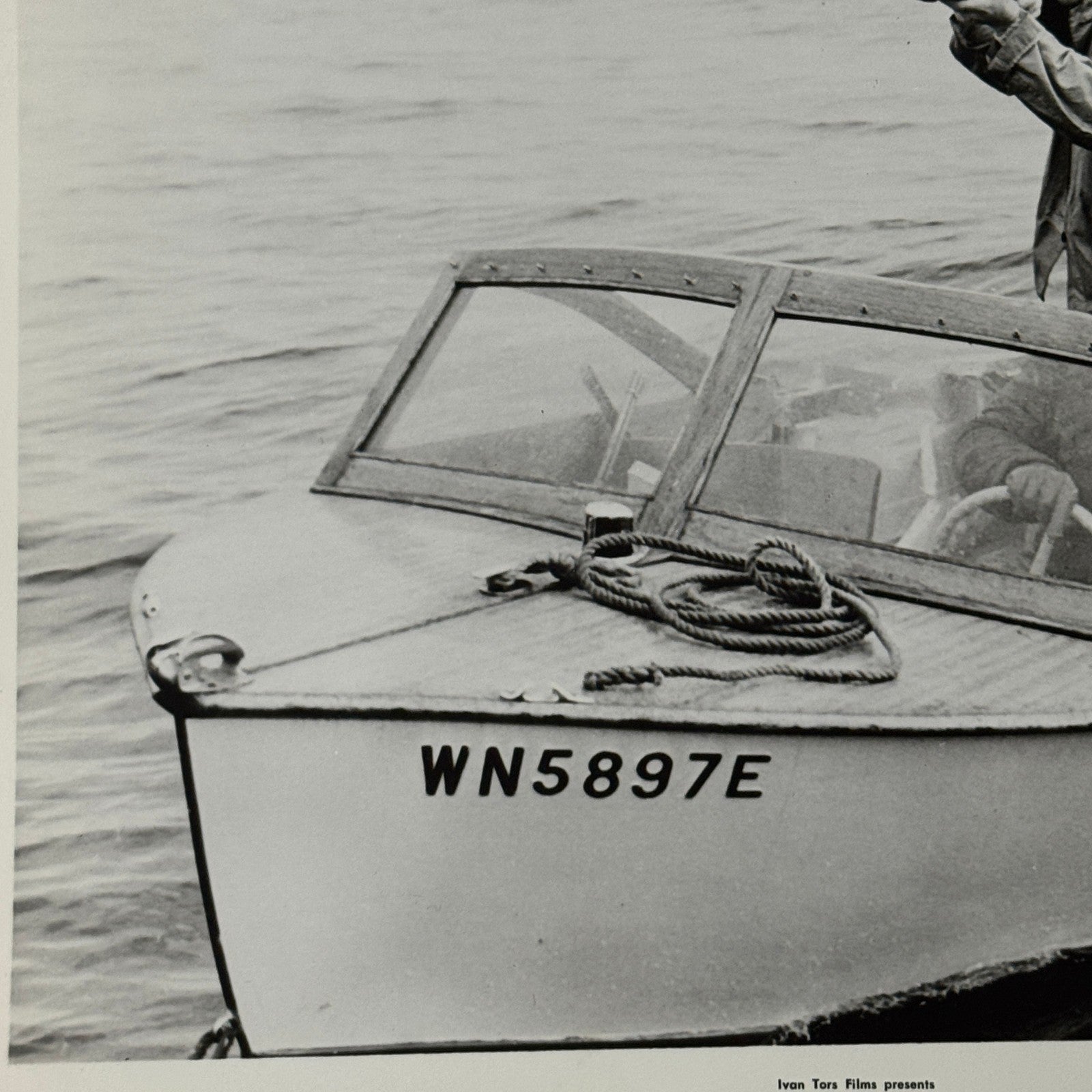 Vintage Movie Still Press Photo Photograph Namu the Killer Whale 1966