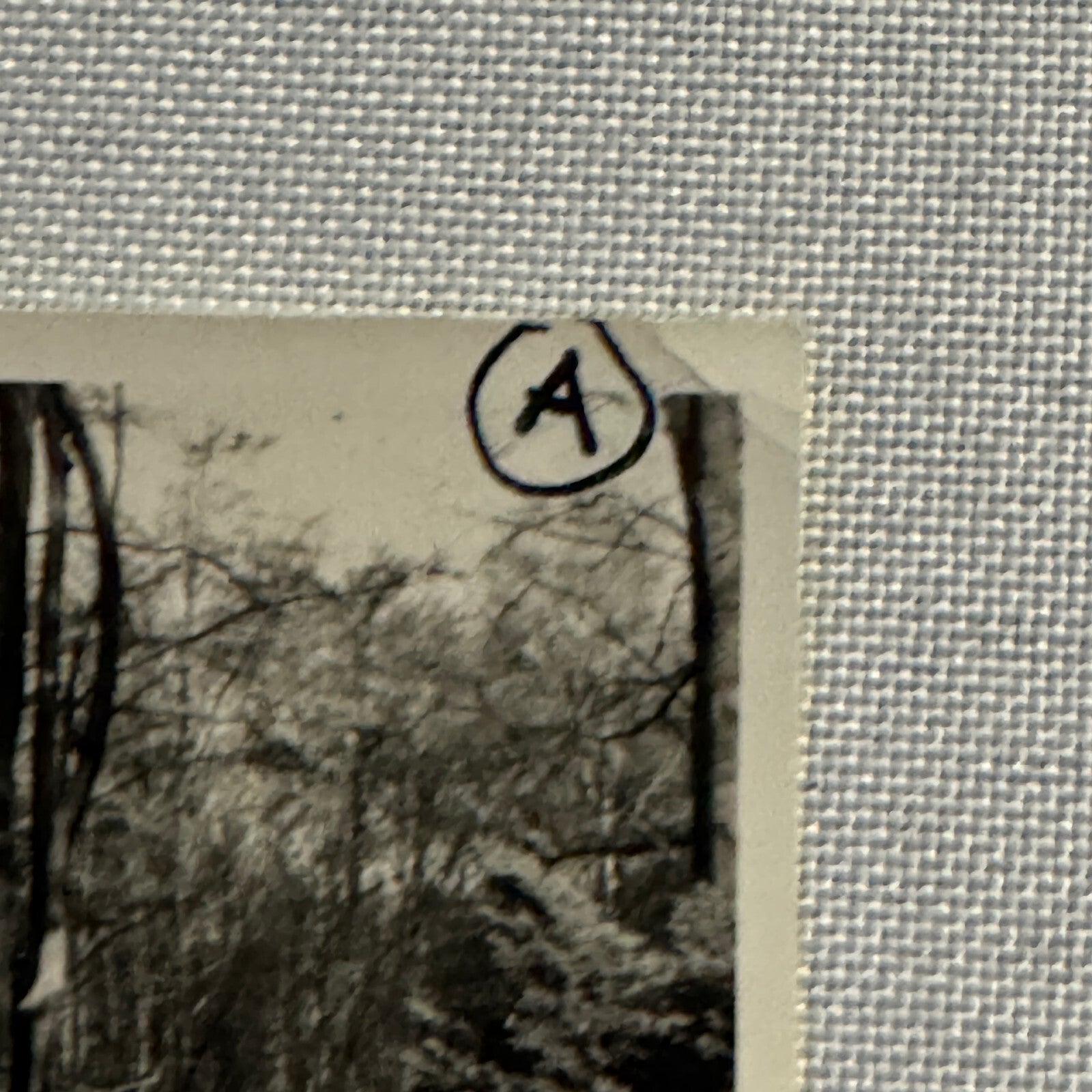 Vintage Photo Photograph Snapshot Porsche 911 with Mercedes Benz Car