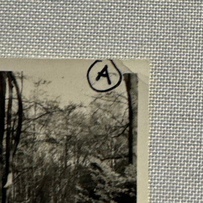 Vintage Photo Photograph Snapshot Porsche 911 with Mercedes Benz Car