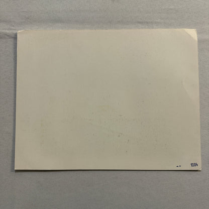 Bertone Cabrio Convertible Cabriolet Sales Sheet Brochure Mini Poster 1984