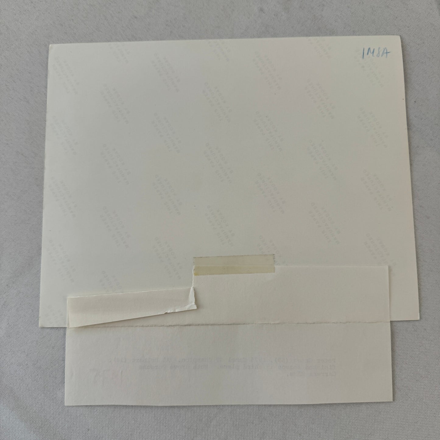 Porsche 911 Racing Photo Photograph 1975 Camel GT Al Holbert Peter Gregg 1975