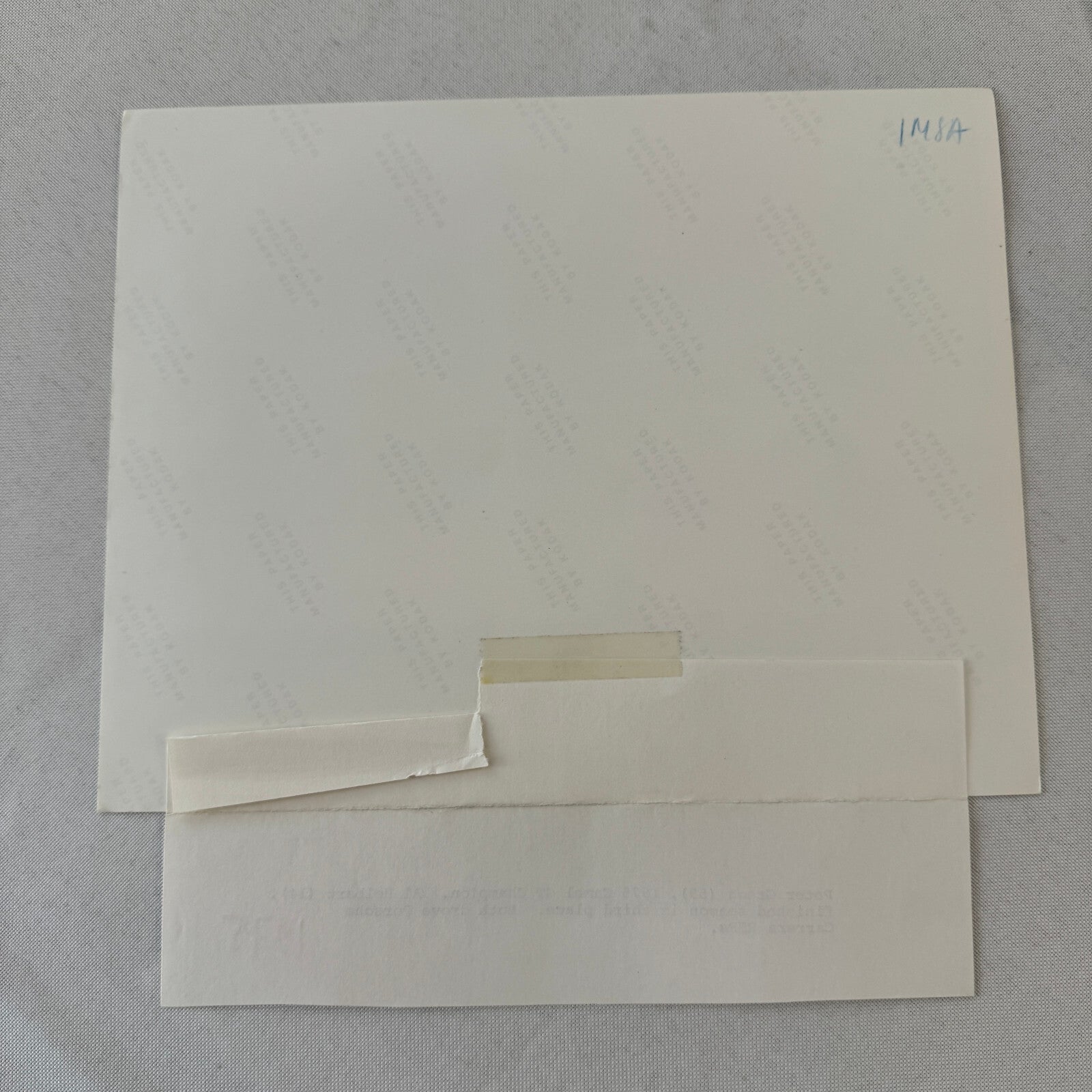 Porsche 911 Racing Photo Photograph 1975 Camel GT Al Holbert Peter Gregg 1975