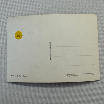 Woman with Beautiful Car Automobile Photo Photograph Italian Fiat 1100 Vignale