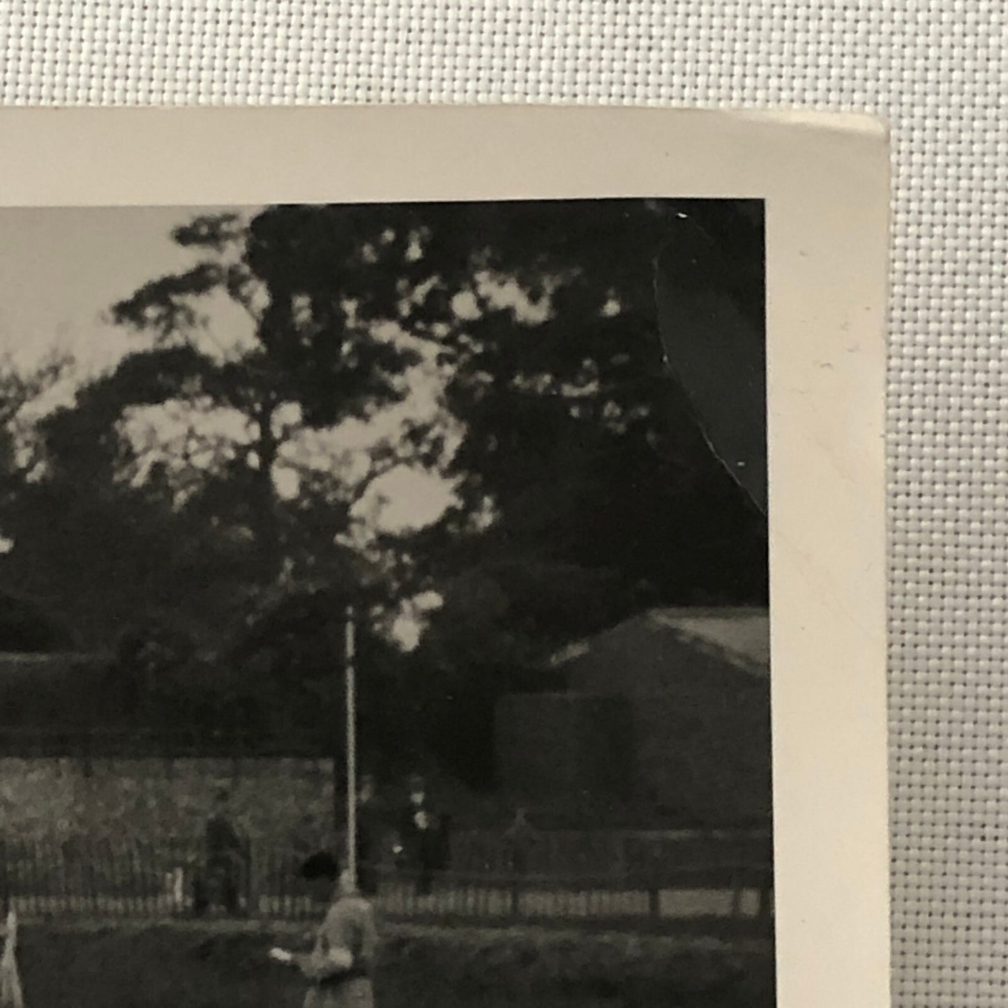 Vintage Car Automobile Racing Photo Photograph Print - Guy Griffiths Tag REA22E4