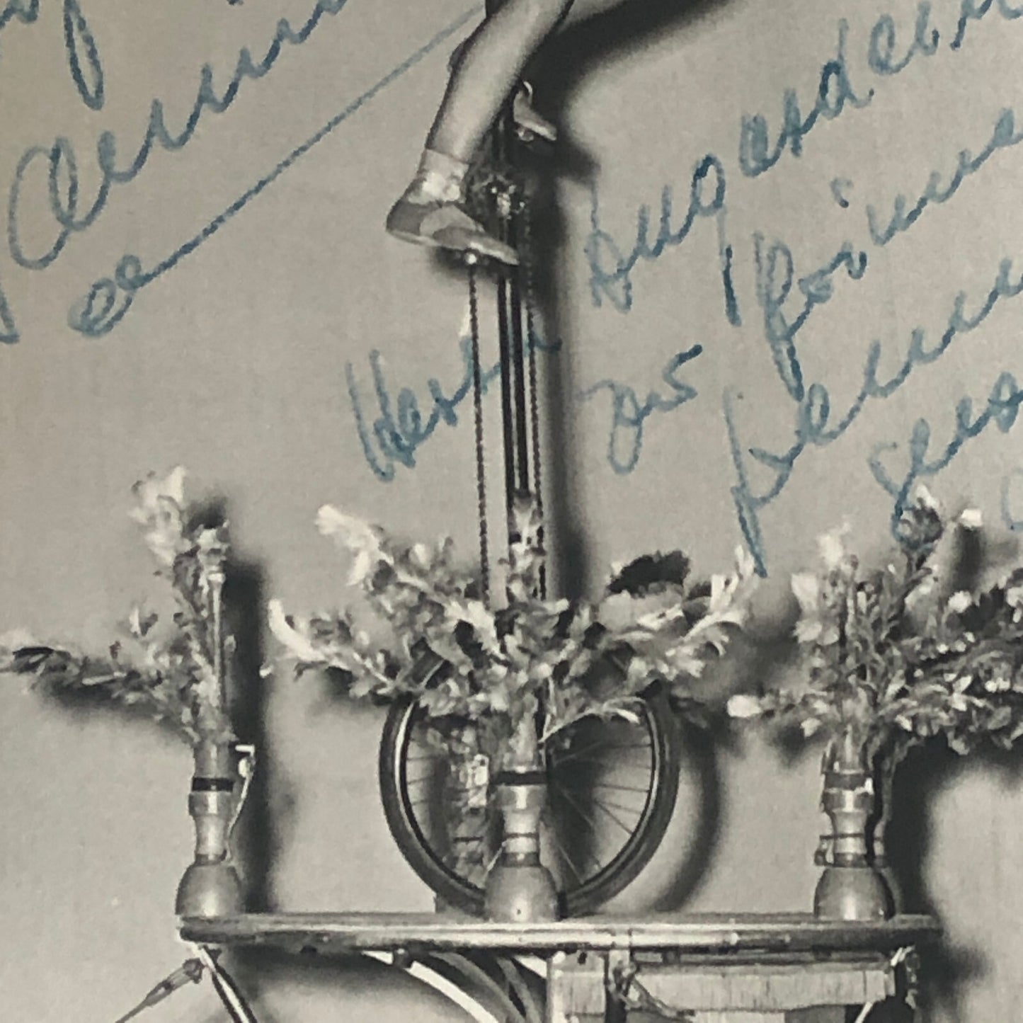 Circus Performer Women Unicycle Balancing Act Photo Photograph Original Jamino