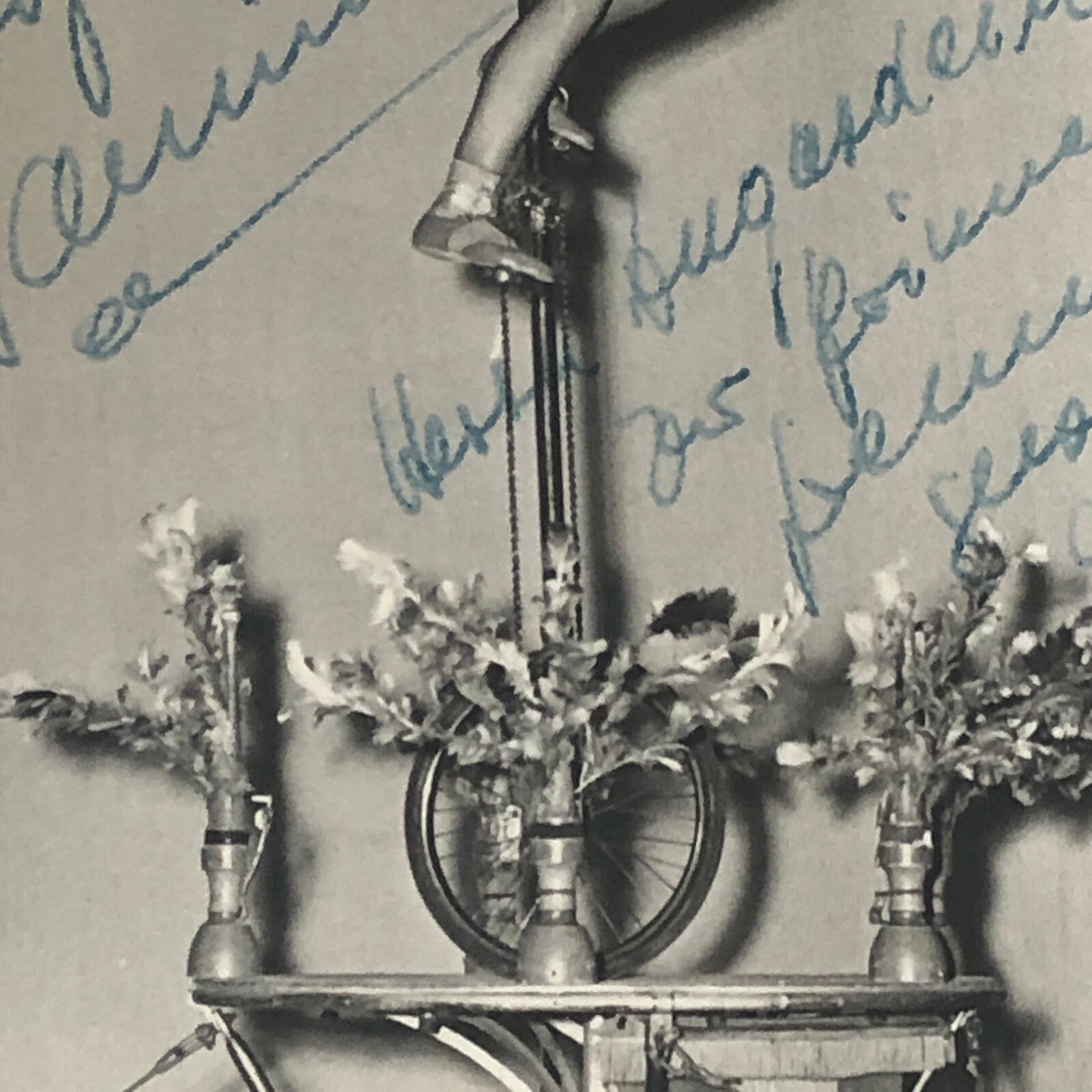 Circus Performer Women Unicycle Balancing Act Photo Photograph Original Jamino