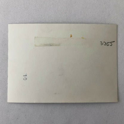 Vintage Racing Photo Photograph John Surtees Car