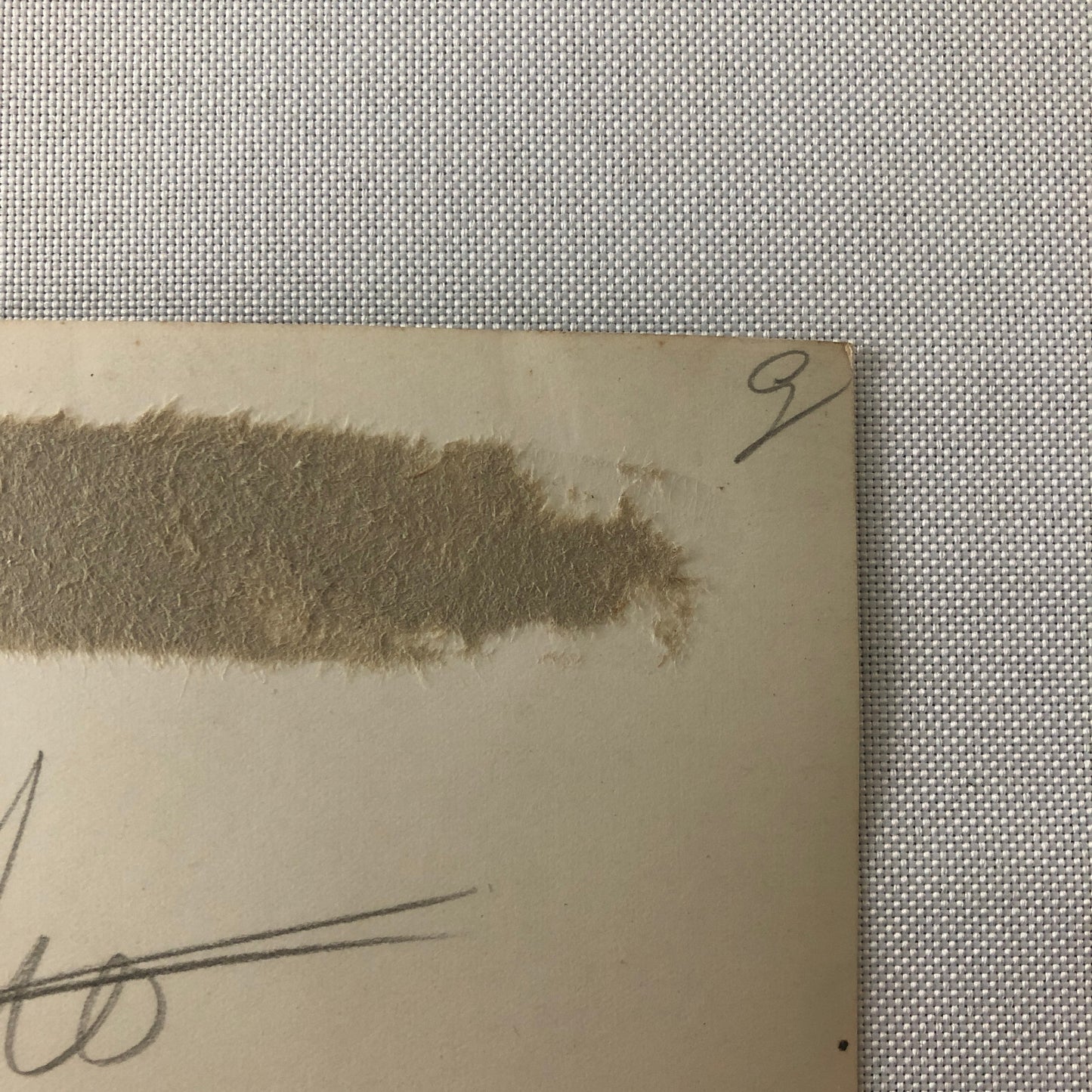 Circus Performer with Miniature Mini Bicycle Bike Photo Paris Vintage Scottish