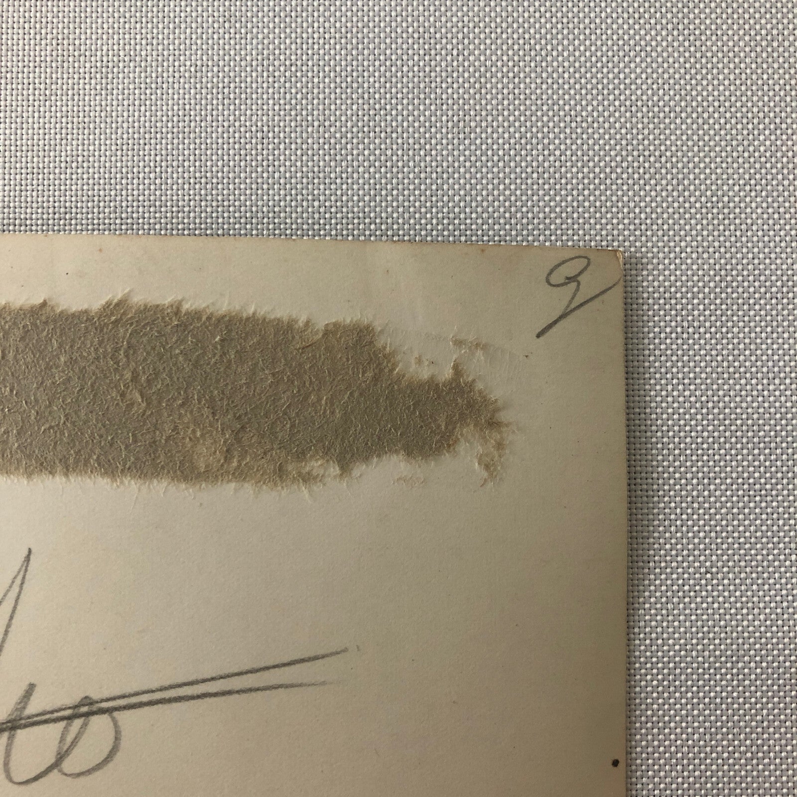 Circus Performer with Miniature Mini Bicycle Bike Photo Paris Vintage Scottish