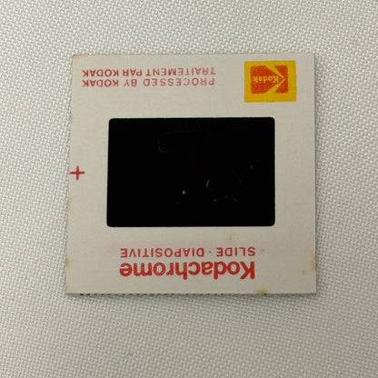 35MM Vintage Photo Slide Porsche 356 Car 1979