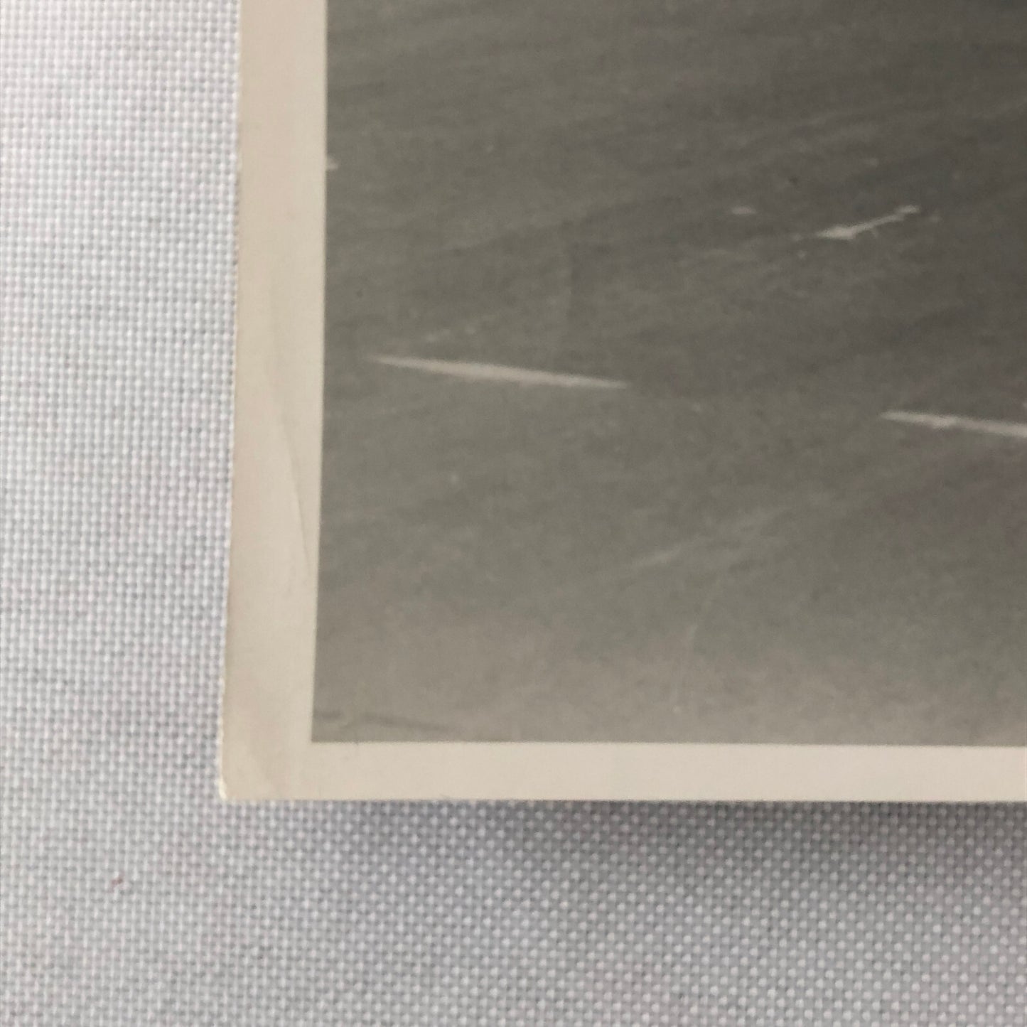 Vintage Car Racing Photo Photograph Print Alfa Romeo & Italia Cars 1952 