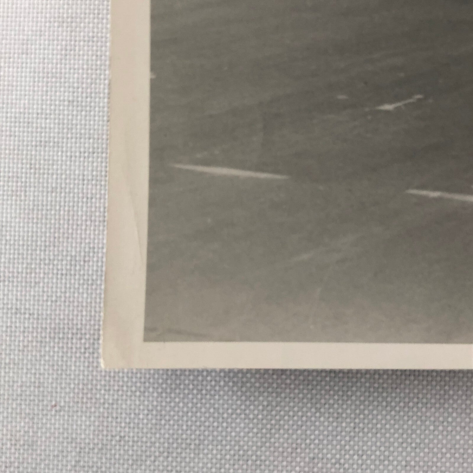 Vintage Car Racing Photo Photograph Print Alfa Romeo & Italia Cars 1952 