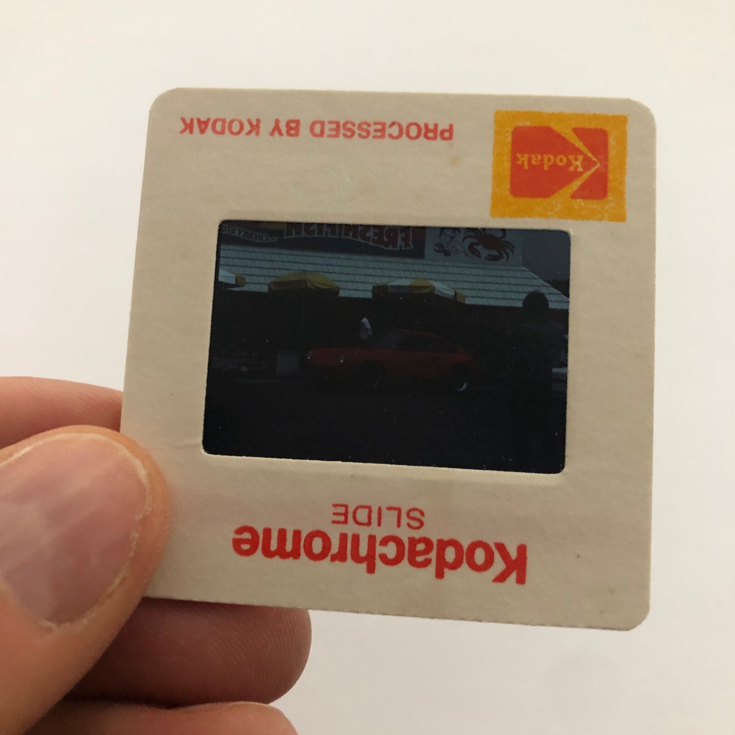 Porsche 911 Car 35mm Photo Slide Vintage 1981